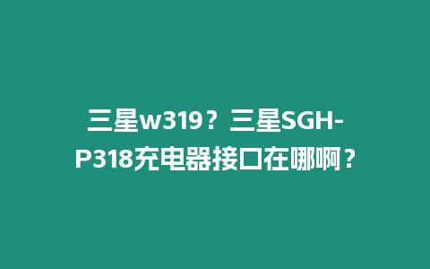 三星w319？三星SGH-P318充電器接口在哪啊？