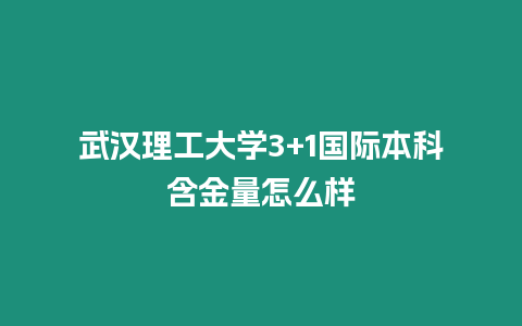 武漢理工大學(xué)3+1國(guó)際本科含金量怎么樣