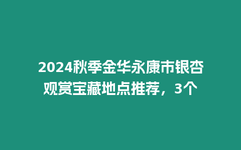 2024秋季金華永康市銀杏觀賞寶藏地點推薦，3個