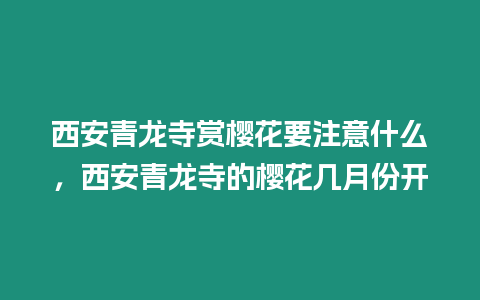 西安青龍寺賞櫻花要注意什么，西安青龍寺的櫻花幾月份開