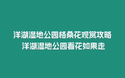 洋湖濕地公園格桑花觀賞攻略 洋湖濕地公園看花如果走