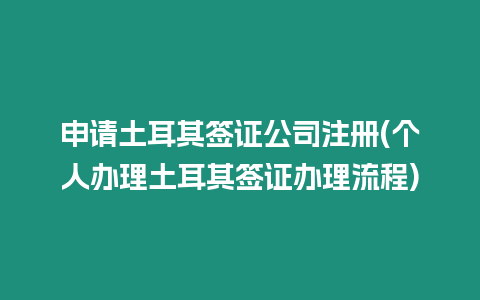 申請土耳其簽證公司注冊(個人辦理土耳其簽證辦理流程)