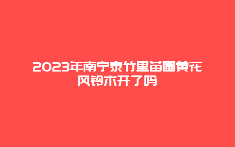 2024年南寧泰竹里苗圃黃花風(fēng)鈴木開了嗎