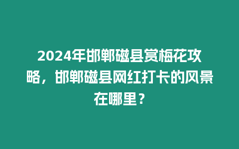 2024年邯鄲磁縣賞梅花攻略，邯鄲磁縣網(wǎng)紅打卡的風景在哪里？