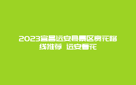 2024宜昌遠(yuǎn)安縣景區(qū)賞花路線推薦 遠(yuǎn)安看花