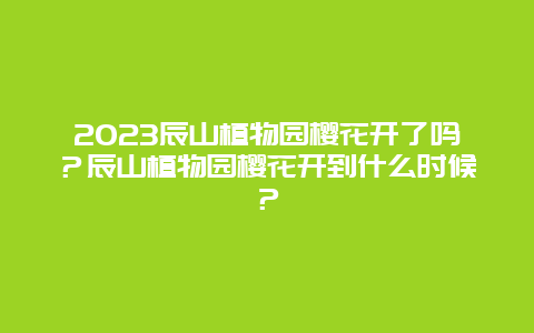 2024辰山植物園櫻花開了嗎？辰山植物園櫻花開到什么時候？