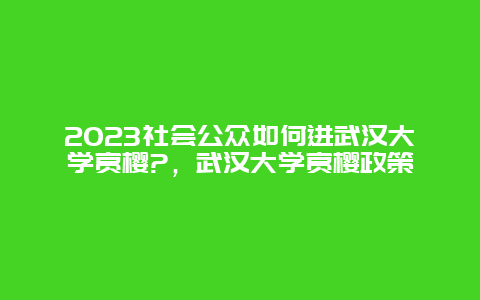 2024社會公眾如何進武漢大學賞櫻?，武漢大學賞櫻政策