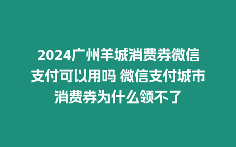 2024廣州羊城消費券微信支付可以用嗎 微信支付城市消費券為什么領不了