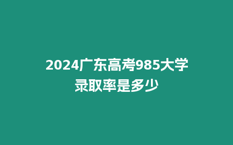 2024廣東高考985大學(xué)錄取率是多少