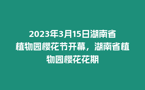 2023年3月15日湖南省植物園櫻花節開幕，湖南省植物園櫻花花期