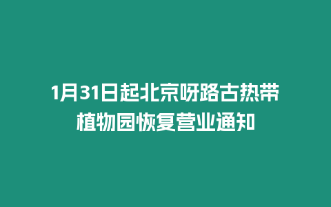 1月31日起北京呀路古熱帶植物園恢復營業通知