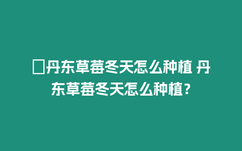 ?丹東草莓冬天怎么種植 丹東草莓冬天怎么種植？