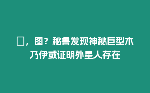 ?，圖？秘魯發(fā)現(xiàn)神秘巨型木乃伊或證明外星人存在