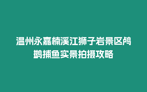 溫州永嘉楠溪江獅子巖景區鸕鶿捕魚實景拍攝攻略