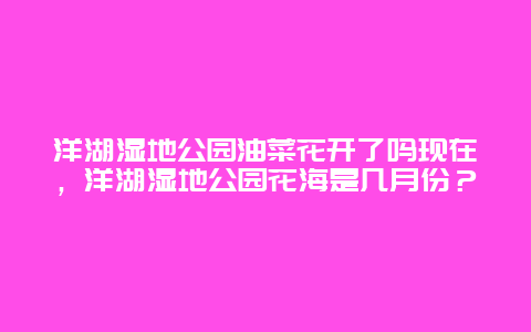 洋湖濕地公園油菜花開了嗎現在，洋湖濕地公園花海是幾月份？