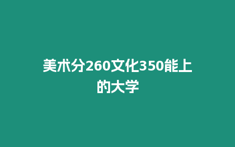 美術(shù)分260文化350能上的大學