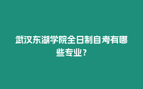 武漢東湖學院全日制自考有哪些專業？