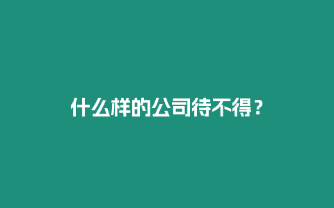 什么樣的公司待不得？