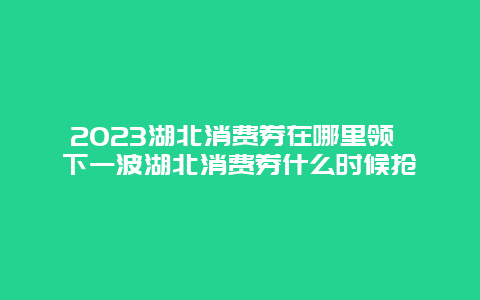 2024湖北消費券在哪里領 下一波湖北消費券什么時候搶