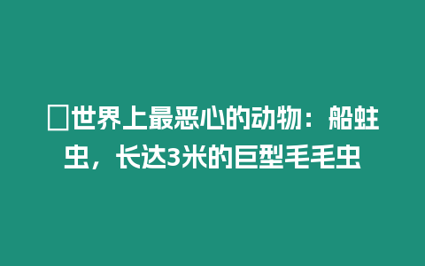 ?世界上最惡心的動物：船蛀蟲，長達3米的巨型毛毛蟲