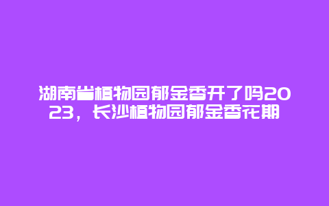 湖南省植物園郁金香開了嗎2024，長沙植物園郁金香花期