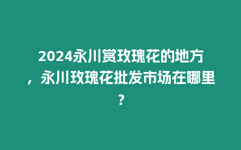 2024永川賞玫瑰花的地方，永川玫瑰花批發市場在哪里？