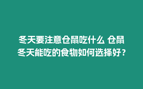 冬天要注意倉鼠吃什么 倉鼠冬天能吃的食物如何選擇好？