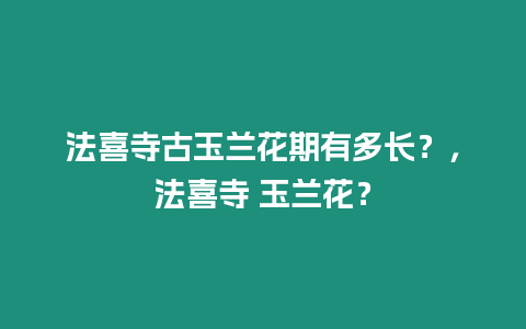 法喜寺古玉蘭花期有多長？，法喜寺 玉蘭花？