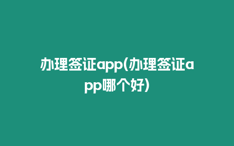 辦理簽證app(辦理簽證app哪個好)