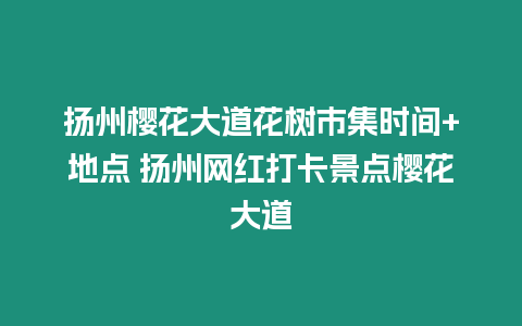 揚州櫻花大道花樹市集時間+地點 揚州網紅打卡景點櫻花大道