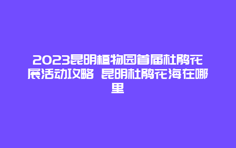 2024昆明植物園首屆杜鵑花展活動攻略 昆明杜鵑花海在哪里