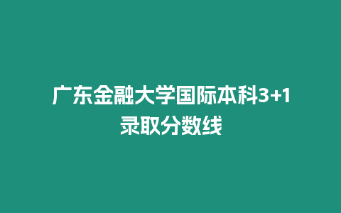 廣東金融大學國際本科3+1錄取分數線