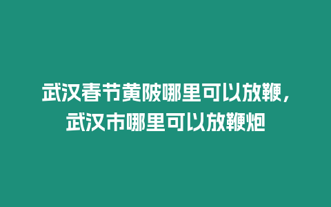 武漢春節(jié)黃陂哪里可以放鞭，武漢市哪里可以放鞭炮