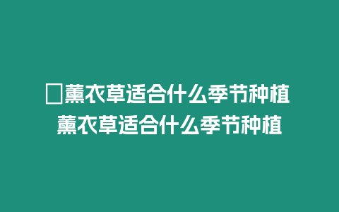 ?薰衣草適合什么季節種植 薰衣草適合什么季節種植