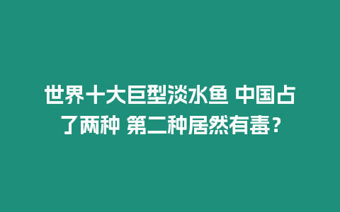 世界十大巨型淡水魚 中國占了兩種 第二種居然有毒？