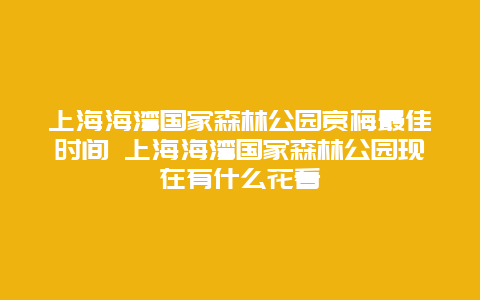 上海海灣國家森林公園賞梅最佳時間 上海海灣國家森林公園現在有什么花看