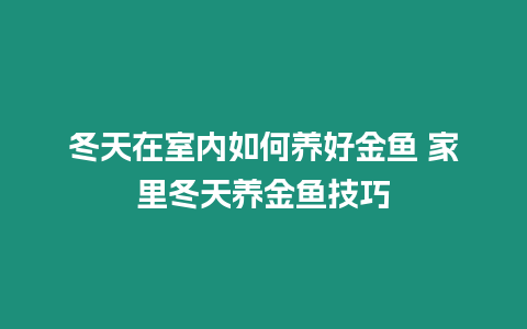 冬天在室內如何養好金魚 家里冬天養金魚技巧