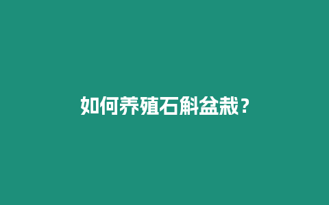 如何養殖石斛盆栽？