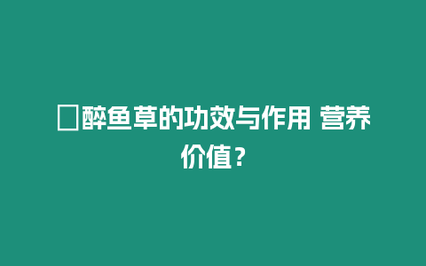 ?醉魚草的功效與作用 營養價值？