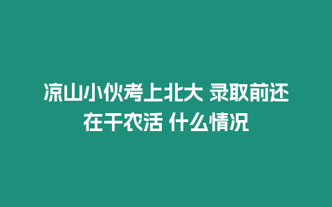 涼山小伙考上北大 錄取前還在干農活 什么情況