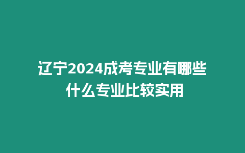 遼寧2024成考專業有哪些 什么專業比較實用