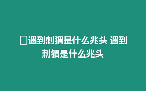 ?遇到刺猬是什么兆頭 遇到刺猬是什么兆頭