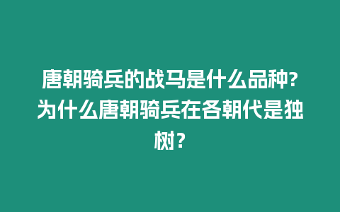 唐朝騎兵的戰(zhàn)馬是什么品種?為什么唐朝騎兵在各朝代是獨樹？