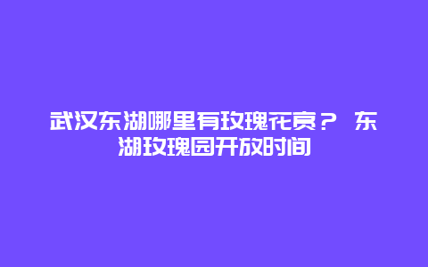 武漢東湖哪里有玫瑰花賞？ 東湖玫瑰園開放時間