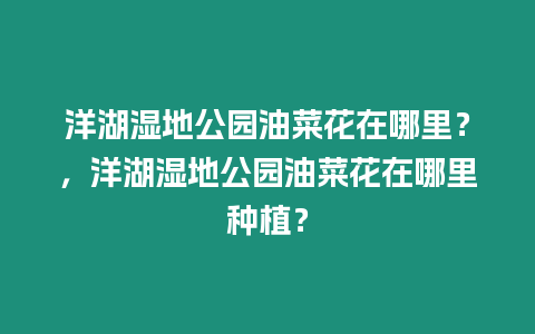 洋湖濕地公園油菜花在哪里？，洋湖濕地公園油菜花在哪里種植？