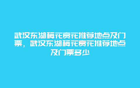 武漢東湖梅花賞花推薦地點及門票，武漢東湖梅花賞花推薦地點及門票多少