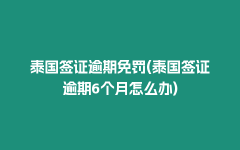 泰國簽證逾期免罰(泰國簽證逾期6個月怎么辦)