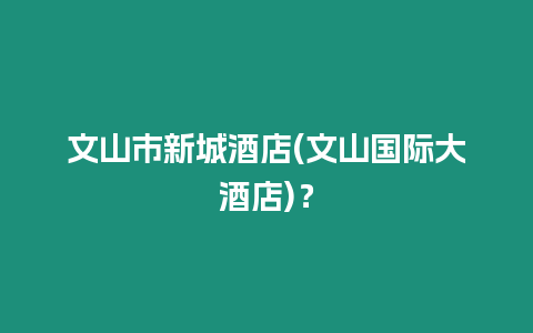 文山市新城酒店(文山國際大酒店)？