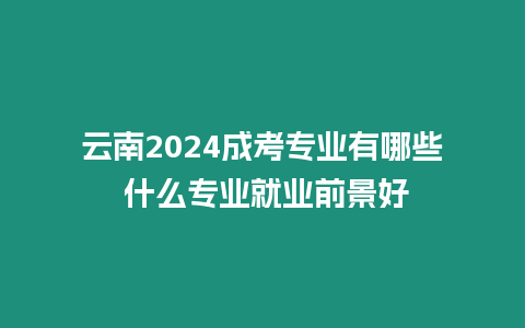 云南2024成考專業(yè)有哪些 什么專業(yè)就業(yè)前景好