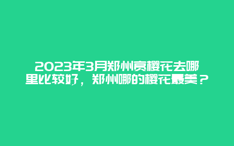 2024年3月鄭州賞櫻花去哪里比較好，鄭州哪的櫻花最美？